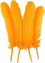 TIPTOP DECORATION Natural Dyed Goose Quills 12-14 Inch (5 Pieces) (Mango)