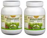 Girme's Wheatgrass Powder 100g Bottle - Pack of 2