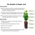 Anushika Bio-humic Acid 100 Percentage Certified Organic Natural For Growth of All Plant Fertilizer - 250 ml