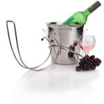 Urban Snackers Silver Stainless Steel Wine Champagne Bucket Holder with Tulip Bucket