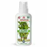 Sansar Green Lucky Bamboo Growth Spray, Premium Essential Super Powerful Liquid Spray for complete care of Lucky Bamboo Plants (100 ml)