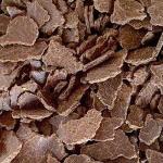 Earth Angels ZZ PlantBaijantimala PlantGardens Organic Fertilizer Mustard Cake Powder for Plants (0.5 Kg)