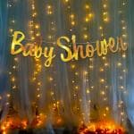 Party Propz Photoshoot Banner With Fairy Led Light (Set Of 2)
