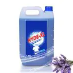 HYDE-XL LIQUID DETERGENT 5 Litres, Suitable for Top Load & Front Load Washing Machine and Bucket Wash