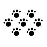 Comet Busters Black Traditional Bindi For Women