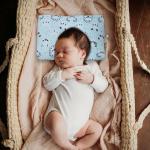 Kradyl Kroft Baby Head Shaping Pillow with 100% Cotton Removable Cover | Applr Biogen Foam Construct | New Born Pillow for Flat Head Prevention (Happy Koala)