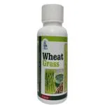 SRI HERBASIA BIOTECH Natural & Pure Wheatgrass Extracts 60 Capsules (Pack Of 1)