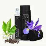 EM5 Reverie Perfume Roll On for Men Alcohol Free Concentrated Oil Powdery Iris Fresh Spicy, 10 ml
