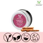 NaturZest Cinnamon Lip Balm, 6g
