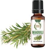 botanic garden Niaouli/Melaleuca quinquenervia For Acne, Pimples, Herpes, Wounds, Cuts, and Rashes,Flu, Sinus Congestion, Coughs, Bronchitis/Undiluted 100% Pure Essential Oil (50 ml)