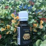 Happy Surroundings Copal Essential Oil (30 ml)