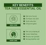 Youngtre Tea tree Essential Oil 100% Pure for Reduce Acne, Pimple, Wrinkle, Fine Lines Ageing Problem & Makes Soft Clean Natural Healthy Glowing Skin (10ml)