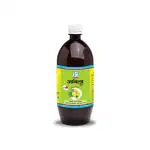 Bharat Gram Udyog Amla Juice - Naturally Improves Eyesight