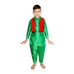 Kaku Fancy Dresses Indian State Kashmiri Dance Costume for Kids | Pathani Suit for Boy-Green & Red
