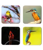 Whats Your Kick Birds Lover Birds With Nature Printed Set of 4 Coaster With Metal Stand