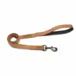 Glucklich 5 FT Heavy Duty Classic Nylon Pet Leashes (L, Brown)