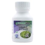 navchetana Kendra Brahmi Capsules (60 Capsules)| Enhance Memory, Increase Concentration and Focus, Reduce Stress