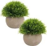 Dekorly Plastic Green Artificial Plants Small Mini Grass Fake Plant Ideal (Pack Of 2)