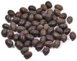 Tamransh Lotus Seed, 25 Seeds