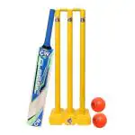 CW Bonzer Cricket Set Stumps Bat Ball Sports Kit Cricket Kit Wih Carry Bag Sports kit