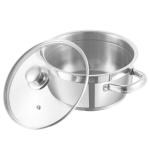 Vinod Stainless Steel Two Tone Saucepot with Glass Lid - 18 cm, 2.3 L (Induction Friendly)