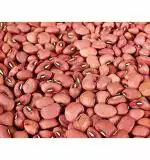 Bio Blooms Agro India Private Limited Gluten Free Moderate Watering Poriyal Thattai Seeds (Bio-68)