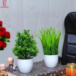 DSY Gw Creations Multicolor Bonsai Artificial Plant With Pot For Home Decor, 13 Cm (Pack Of 2)