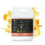 Beegreen Liquid Soap Orange 5L, Eco-Friendly & Biodegradable, Safe For Sensitive Skin, 100% Natural & Plant based, Kids Safe, Green Hand Wash, Orange Fragrance