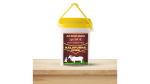 KALAPURNA GHEE| Bilona A2 Desi Cow Ghee 5 ltrs| Special Jain Ghee|No butter|Shudh ghee