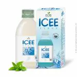ICEE Syrup Mint Flavour 170 ML Pack of 2