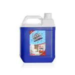 S Saya Toilet Cleaner (Pack Of 1)