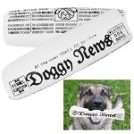 Pets Empire Doggy Newspaper glow In The Dark Squeaky Dog Toy 15cm