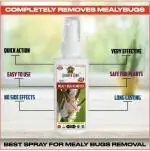 Sansar Agro Mealy Bug Remover Spray, Premium Essential Organic Liquid Spray For Complete Removal Of Mealy Bugs From Plants (200 Ml)