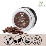 NaturZest Coffee Lip Balm and Vanilla Lip Balm Combo Pack (6gm, 6gm)