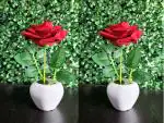 DSY Red Plastic Rose Artificial Flower With Pot For Home Decoration, 8 Inch (Pack Of 2)