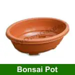 MyOwnGarden 12 Inch Brown Color Bonsai Pot