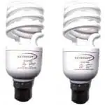 SKYBRIGHT 15 W Spiral B22 CFL Bulb (White, Pack of 2)