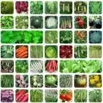 Flare Seeds 45 Varieties Plants Garden Vegetables and Fruits Seed 30 Per Packet