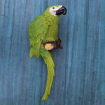 vikarafty Vikarafty Green Parrot Sculpture for Storage Purpose for Home Decor Living Room Showpiece