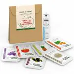 Cosmetofood Professional Tomato Tan Eliminator Skin Nutrition Facial Kit For Men And Women (35 ml)