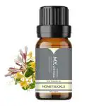 VEDANUM Honey Suckle Scented Essential Oil for Aromatherapy, Soap Making and Candle Making 15 ml