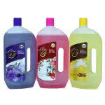 SOULFRESH Disinfectant floor cleaner liquid Floral, Lavender, Citrus (pack of 3) Total (2.9L)