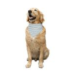 Ruse Dog Reversible Striped and Solid Bandana Scarf, Chevron Striped, Lemon Yellow Small