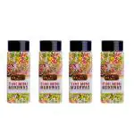 J J Crunch N Munch Tini Mini | Meethi Saunf | Sweet Saunf | Mukhwas | 200 Grams Each | Pack of 4