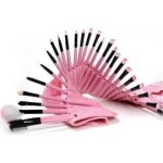 69 shades presents Make up brush set of 24 pcs with carry bag Professional Series