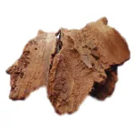 Nutrixia Karanj Chhal (Bark) -KARANJA- Pongamia pinnata-Pongam oil tree Bark-Indian beech 50 Gms