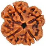 SHIVOHAM Brown Lord Brahma 4-Mukhi Nepal Rudraksha Wood Pendant