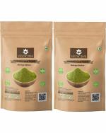 VEDICINE Moringa Leaf Powder, Drumstick Leaf Powder for Hair Mask (100gmx2)