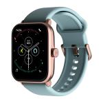 Noise WRB-SW-COLORFITPRO3ALPHA-STD-RGLD_LBLU BT Calling Skin Temp Alexa Smoky Blue ColorFit Pro 3 Smart Watch