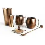 Urban Snackers Silver Stainless Steel Bar Set Pack of 5